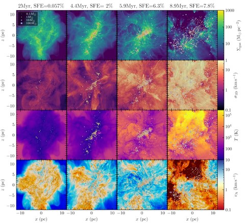 Figure from The dynamics and outcome of star formation with jets, radiation, winds, and supernovae in concert