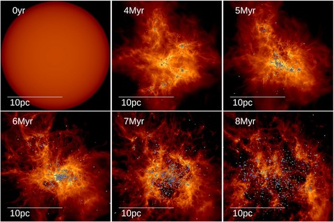 Figure from Effects of the environment on the multiplicity properties of stars in the STARFORGE simulations