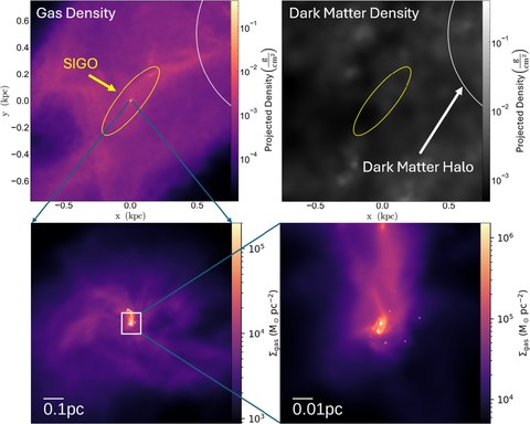 Figure from The Stellar Initial Mass Function of Early Dark Matter─free Gas Objects